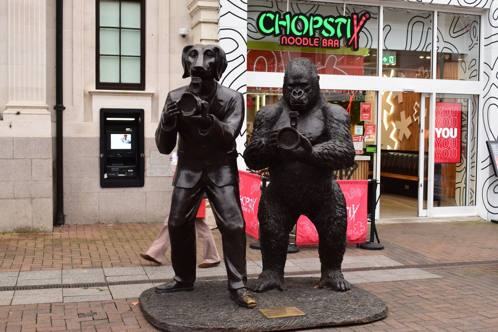 Update | Go Wild in Kingston this November 2024